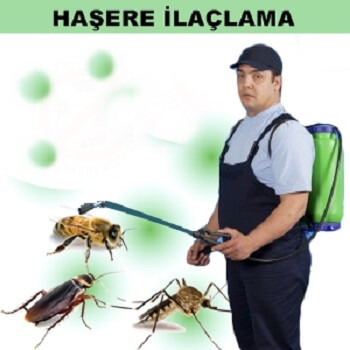 Sapanca Böcek İlaçlama